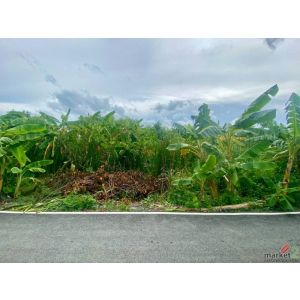 ขาย ที่ดินเปล่า 99 ตรว. บ้านใหม่ นนทบุรี