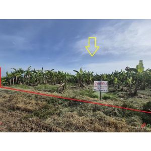 ขาย ที่ดินเปล่า 1-1-33 ไร่ ( 533 ตร.ว. ) ซ.บึงบอน 11 ถ.รังสิต-นครนายก  จ.ปทุมธาน