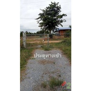  ที่ดินขนาด 3 ไร่  ตำบลหนองประดู่ อำเภอเลาขวัญ จังหวัดกาญจนบุรี