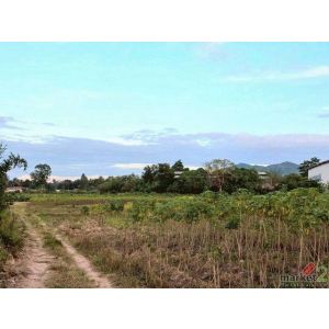 ขายที่ดิน 32 ไร่ ใกล้มอเตอร์เวย์ ตะเคียนเตี้ย เขาไม้แก้ว เหมาะทำโครงการ TP-L1877