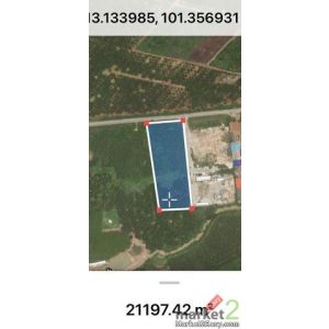 ขายด่วน ที่ดิน 15 ไร่ ติดถนน 3245 หนองใหญ่ ชลบุรี ผังเมืองสีเหลือง