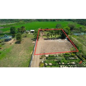 ขายที่ดินสารภี ใกล้เมืองเชียงใหม่ เริ่มต้น 70.25 ตร.ว. เหมาะสร้างบ้าน