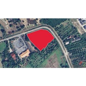 ขายที่ดิน 5 ไร่ 41 ตรว  ติดถนน  ต.หนองแก๋ว อ.หางดง จังหวัดเชียงใหม่  ผังเมืองสีเ