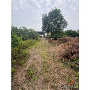 ขายที่ดินเปล่า บ้านป่าเหว ตำบลอุโมงค์ อำเภอเมือง จังหวัดลำพูน