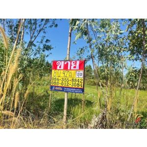 ขายที่ดิน 8-0-42 ไร่  ตะเคียนเตี้ย  บางละมุง   ใกล้สวนพระพิฆเนศ   ZT865 