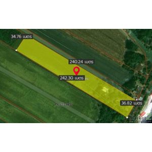 รหัส  DSL-244 ขายด่วน! พื้นที่ดิน ที่ดินติดคลองหลวงแพ่ง ลำต้อยติ่ง หนองจอก  1000