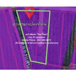 พื้นที่ดิน ที่ดินผังสีม่วง ต.คลองมะเดื่อ อ.กระทุ่มแบน จ.สมุทรสาคร 1806 ตร.วา  21
