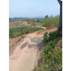 ที่ดิน ที่ดิน ต.ปอน อ.ทุ่งช้าง จ.น่าน ขนาด = 408 RAI 1 Ngan 3 sq.wa    ถูกและดี 