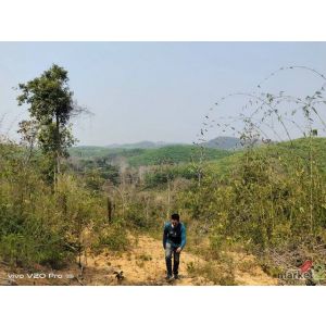 ID :  DSL-198 FOR SALE ที่ดิน ที่ดิน ต.พงษ์ อ.สันติสุข จ.น่าน ใกล้ ห่างถนนทางหลว