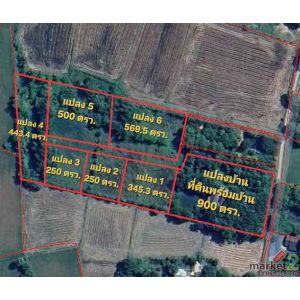 ขายที่ดินพร้อมสิ่งปลูกสร้าง วิวเขาใหญ่ ต.เขาพระ เมืองนครนายก เริ่ม 250 ตรว. –1 ไ