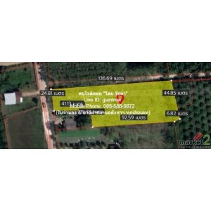 ขายด่วน! พื้นที่ดิน ที่ดิน พร้อมสวนเกษตร (สวนยาง+มะพร้าว) ต.ชัยบุรี อ.เมืองพัทลุ