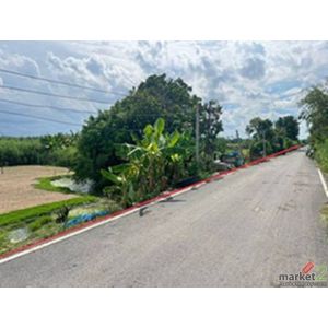 ขาย พื้นที่ดิน - พื้นที่ =  100 ตารางวา 0 ngan 0 RAI  ใกล้ หนองเสือ ราคาไม่แรง