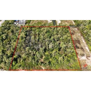 ลดด่วน ที่ดินเปล่า 4 ไร่ แบ่งขายได้แปลงละ 1 ไร่ บางปะกง - ฉะเชิงเทรา ราคาถูก