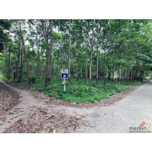  ขายที่ดินเปล่า เกาะปอ เกาะลันตา จังหวัดกระบี่ ราคาโปรโมชั่น ลดพิเศษ