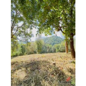 ที่ดินวิวเขายกแปลง ทางขึ้นม่อนแจ่ม โป่งแยง แม่ริม        