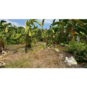 ขายที่ดินแปลงมุม 130 ตรว ติดถนน 2 ด้าน ประชาชื่น 28 ทำเลทองใกล้รถไฟฟ้า 2 สาย เข้