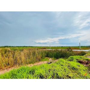 ขายที่ดิน รูปแปลงที่ดินถุงเงินถุงทอง เนื้อที่ 9-2-67.7 ไร่ ถนนวงแหวนรอบเมือง 290