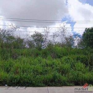 ขายที่ดินศรีราชา บ่อวิน แปลงสวย ทำเลดี เขตเขาขยาย FP-L01902 