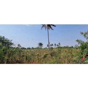 ขายที่ดินหนองขาม ศรีราชา ชลบุรี แปลงสวย ห่างถนน331เพีย 3 กม. FP-L01899 