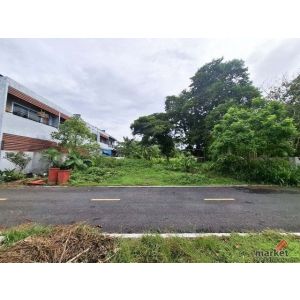 ขายที่ดินว่างเปล่า        อำเภอทุ่งสง นครศรีธรรมราช