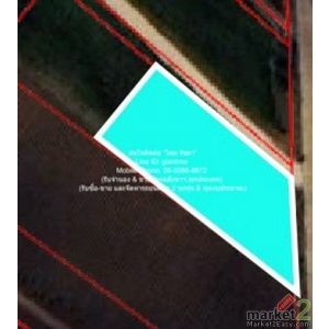 ที่ดิน ขายที่ดินไร่สวนทางการเกษตร (ติดถนน และติดเขา) 550000 บ.  1 ไร่ 0 งาน 0 Sq