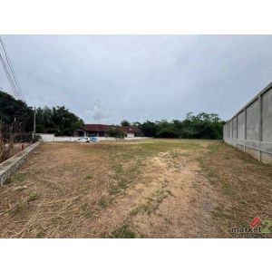 ขายที่ดินพัทยา มาบประชัน 226 ตร.วา ที่ดินสวย ไม่ต้องถม ติดถนนคอนกรีต TP-L1970