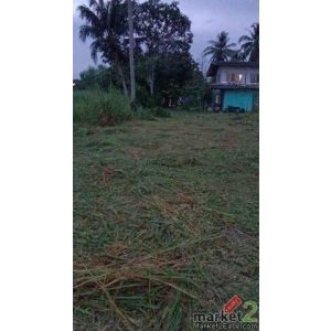 ขายที่ดินเปลงสวย ราคาดี โซนหนองเลง ศรีราชา ชลบุรี FP-L01909 