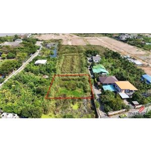 ที่ดินเปล่า 266 ตร.วา ท่าอิฐ 15 แยกตาลเดียว วัดบางบัวทอง นนทบุรี