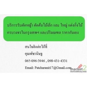 บริการรับตัดหญ้า ตัดต้นไม้เล็ก และ ใหญ่ แต่งกิ่งไม้ ครบวงจรในกรุงเทพฯ และปริมณฑล
