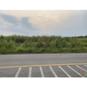 ขายที่ดิน เนื้อที่ 29 ไร่ เกาะจันทร์ จังหวัดชลบุรี