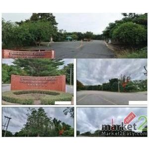 ขาย ที่ดินเปล่า อำเภอเมืองนครปฐม นครปฐม ห่างจาก ตลาดปฐมนคร 6.2 km.