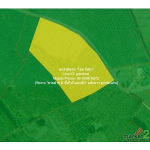  DSL-1327 ต้องการขาย พื้นที่ดิน ขายที่ดินทางการเกษตรแปลงใหญ่ อ.ภูเรือ จ.เลย 18-2