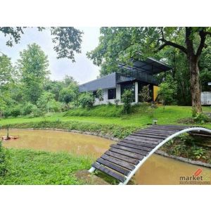 บ้านสวน สไตล์บ้านพักตากอากาศ สันกำแพง                    