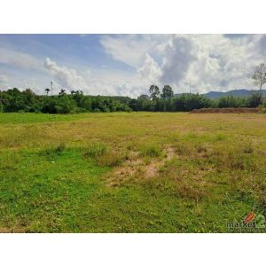 ขายที่ดินถมแล้ว ด้านหน้าติดถนนด้านหลังติดแม่น้ำ อำเภอพะโต๊ะ จังหวัดชุมพร เนื้อที