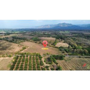 ขายที่ดินวิวภูเขา 19-3-15 ไร่ ต.นาป่า อ.เมือง จ.เพชรบูรณ์