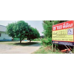 ที่ดินเปล่า โซนหนองปลิง 2-2-72.3 ไร่ ทำเลทองในหมู่บ้านเอ็กซ์ตร้า ใกล้แหล่งอำนวยค