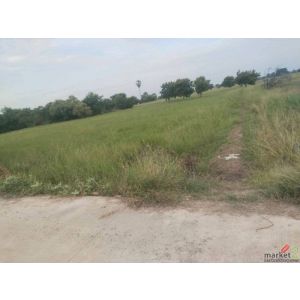 ขายถูกมาก!! ที่ดิน 25 ไร่ วิวภูเขา ติดถนน อ.โคกสำโรง จ.ลพบุรี ใกล้ถนนพหลโยธิน โล