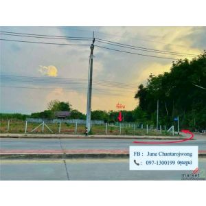 ขายถูกและผ่อนตรงได้!! ที่ดินสวย ทำเลทอง น้ำไม่ท่วม 100% อ.หาดใหญ่ จ.สงขลา 