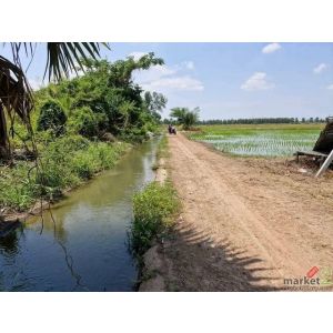 ขายที่นาแปลงสวย อำเภอคลองขลุง จ.กำแพงเพชร 28 ไร่ 2 งาน 6 ตรว.