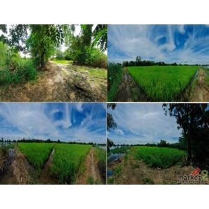 ขาย ที่ดินเปล่า อำเภอบางไทร พระนครศรีอยุธยา  ห่างจาก  ปั๊มน้ำมัน PT บางไทร 9.4 k