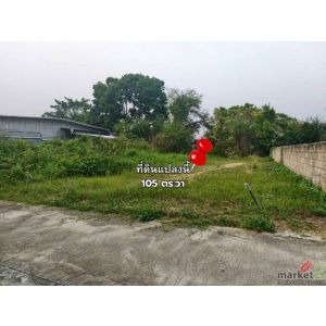 ขายที่ดินถมแล้ว 105 ตร.วา หางดง ใกล้แยกสะเมิง ทำเลดี พร้อมสร้าง