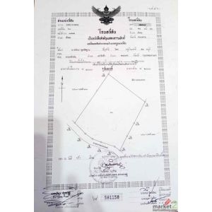 ขายที่ดิน ทำเลทอง อำเภอสังคม จังหวัดหนองคาย        