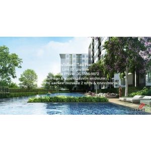คอนโด. The Parkland Ngamwongwan - Khae Rai พื้นที่ =  32 ตรม  8000 -   GOOD! นนท
