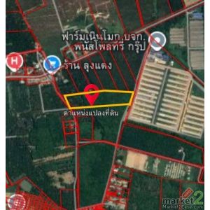 ขายที่ดินหนองอิรุณชลบุรี ขายที่ดินเนินโมก 10  พื้นที่สีเหลือง( แบ่งขายได้ ) ที่ด