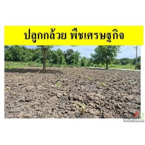 ขายที่ดินเปล่าแปลงมุม ถมแล้ว ซอยเทคโนโลยีแหลมทอง   ทำเลศักยภาพ อำเภอเมืองปทุมธาน