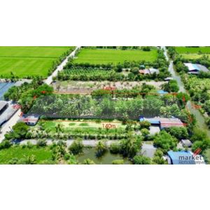 ที่ดิน 2 ไร่ พร้อมสิ่งปลูกสร้าง ไทรน้อย - นนทบุรี บ้านสวน สไตล์คาเฟ่
