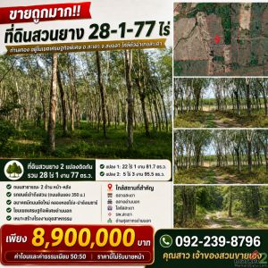 ขายถูกมาก!! ที่ดินสวนยาง 28-1-77 ไร่ ทำเลทองอยู่ในเขตเศรษฐกิจพิเศษ อ.สะเดา 