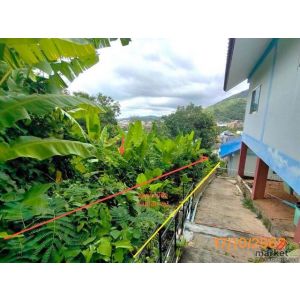 ขายที่ดินเมืองภูเก็ต ถนน โคกโตนด  ราคาโปรโมชั่น เนื้อที่ 	0-1-65.10 ไร่
