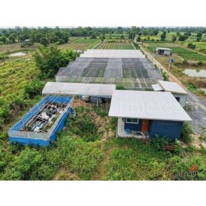 ที่ดิน พร้อมสิ่งปลูกสร้าง 4-0-69.6 ไร่ หนองเพรางาย ไทรน้อย ทำเลดี