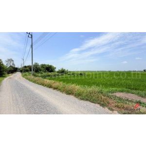 ที่ดินราคาถูก 4-2-63 ไร่ เข้าออกได้หลายทาง  ต.บางซ้าย พระนครศรีอยุธยา